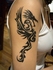 My second tattoo, out of three. This is Draco, and I got the design for him off of one of Stewart's shirts.